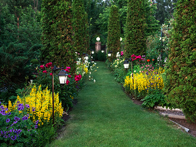 Jardin verde